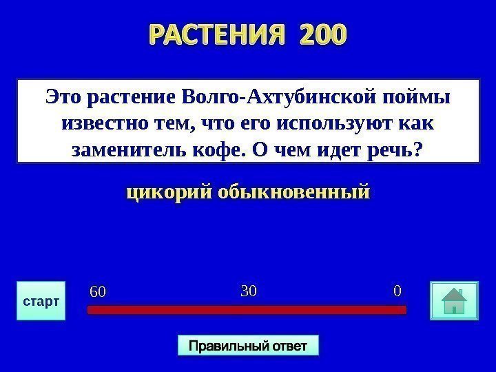 цикорий обыкновенный. Это растение Волго-Ахтубинской поймы известно тем, что его используют как заменитель кофе.