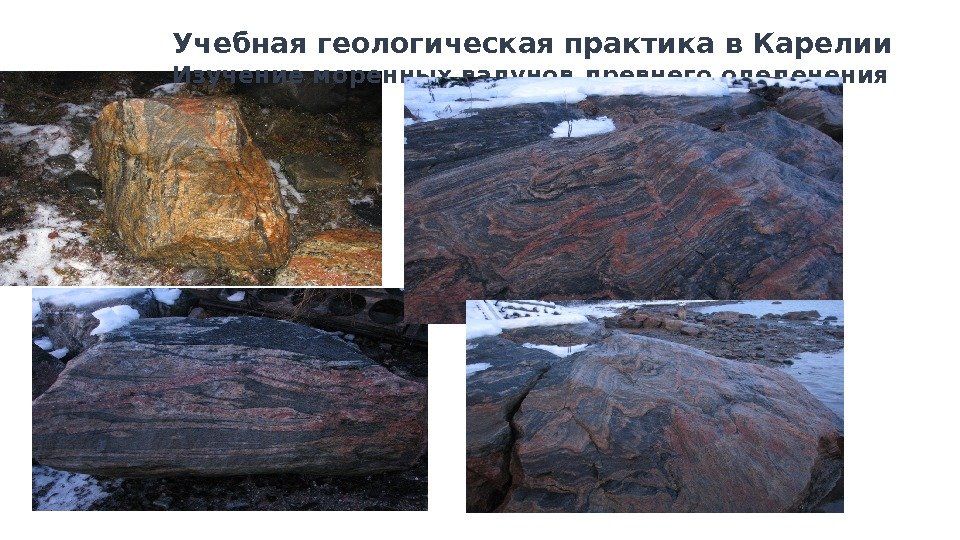    Учебная геологическая практика в Карелии   Изучение моренных валунов древнего
