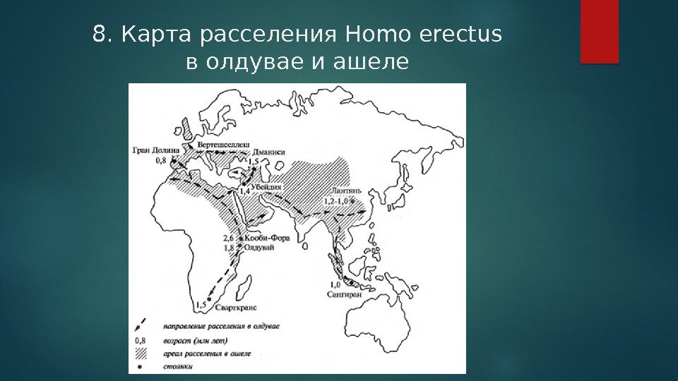 8. Карта расселения Homo erectus в олдувае и ашеле  