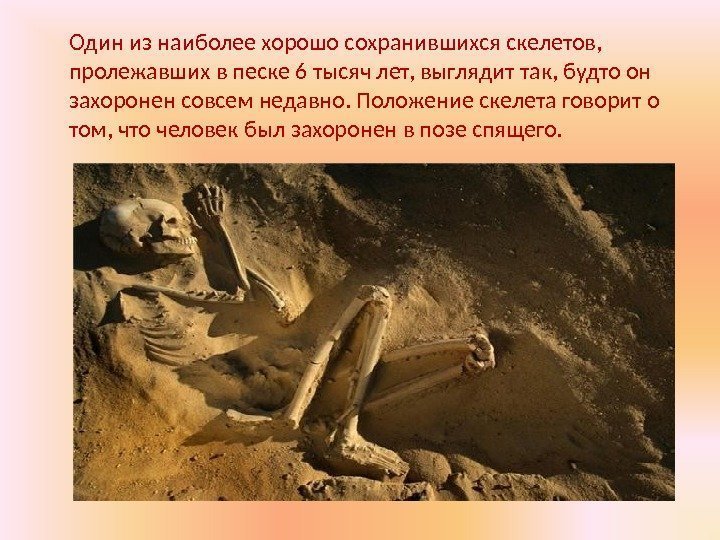 Один из наиболее хорошо сохранившихся скелетов,  пролежавших в песке 6 тысяч лет, выглядит