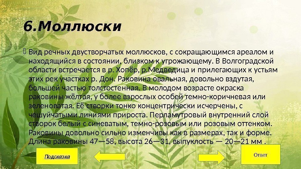 6. Моллюски Вид речных двустворчатых моллюсков, с сокращающимся ареалом и находящийся в состоянии, близком