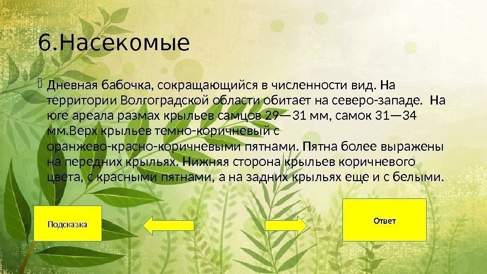 6. Насекомые Дневная бабочка, сокращающийся в численности вид. На территории Волгоградской области обитает на