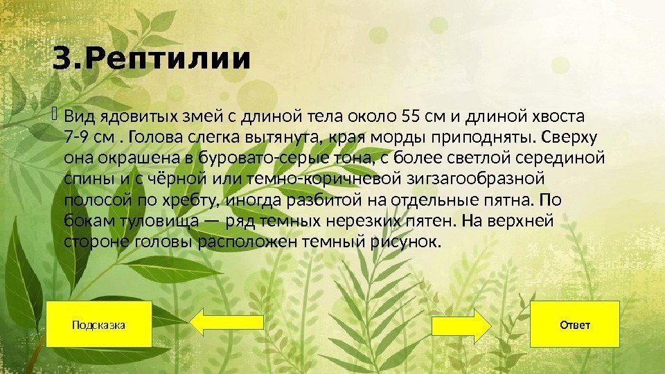 3. Рептилии Вид ядовитых змей с длиной тела около 55 см и длиной хвоста