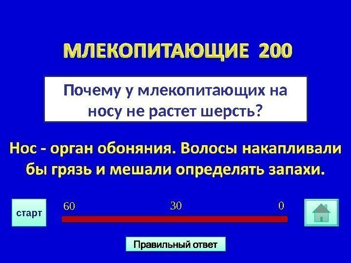 Почему у млекопитающих на носу не растет шерсть? 030 6 0 старт2 E 09