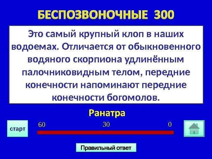 Это самый крупный клоп в наших водоемах. Отличается от обыкновенного водяного скорпиона удлинённым палочниковидным