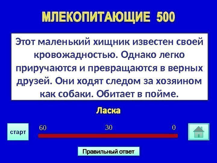 Этот маленький хищник известен своей кровожадностью.  Однако легко приручаются и превращаются в верных