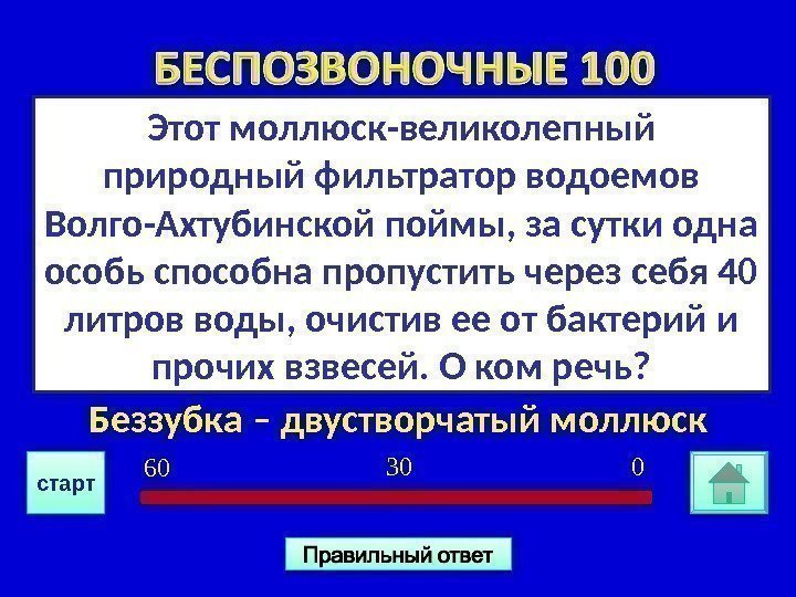 Беззубка – двустворчатый моллюск Этот моллюск-великолепный природный фильтратор водоемов Волго-Ахтубинской поймы, за сутки одна