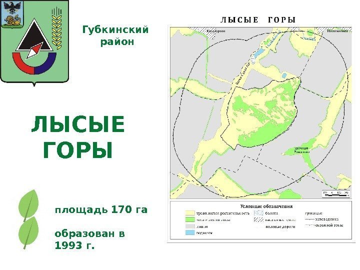 ЛЫСЫЕ ГОРЫ площадь 170 га Губкинский  район образован в 1993 г. 