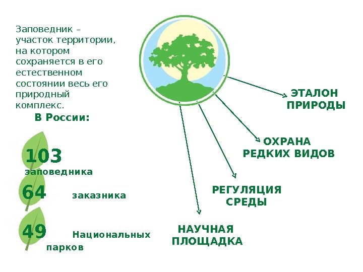 Схема охраны природы