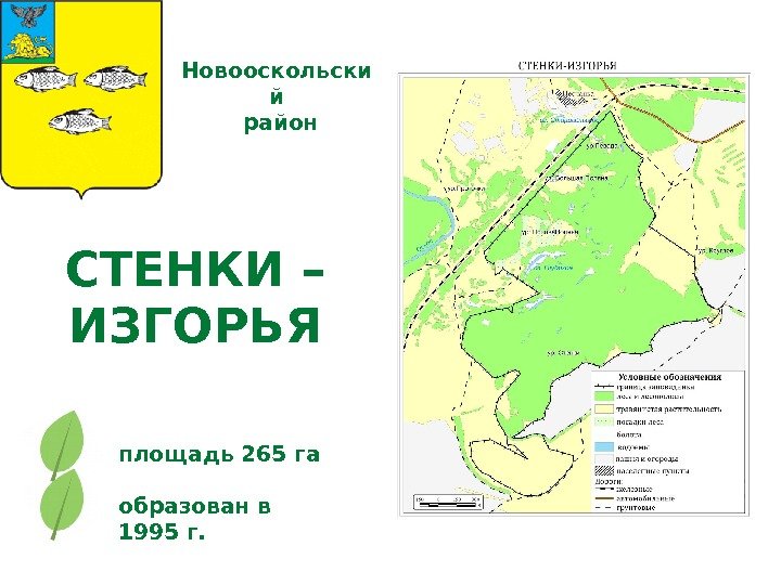 СТЕНКИ – ИЗГОРЬЯ площадь 265 га Новооскольски й  район образован в 1995 г.