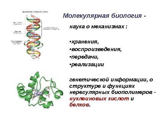 Mолекулярная биология - наука о механизмах :  • хранения,  • воспроизведения, 