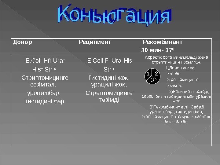  Донор  Реципиент  Рекомбинант 30 мин- 37 0  E. Coli Hfr