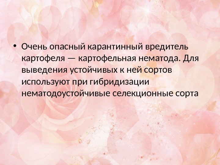  • Очень опасный карантинный вредитель картофеля — картофельная нематода. Для выведения устойчивых к