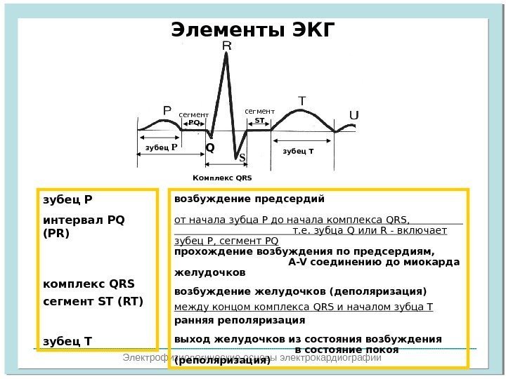  Электрофизиологические основы электрокардиографии Элементы ЭКГ сегмент ST интерва лсегмент PQ STзубец Р