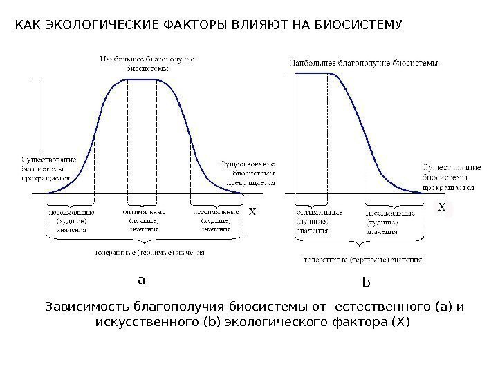  Зависимость благополучия биосистемы от естественного (a) и искусственного (b) экологического фактора (X) a