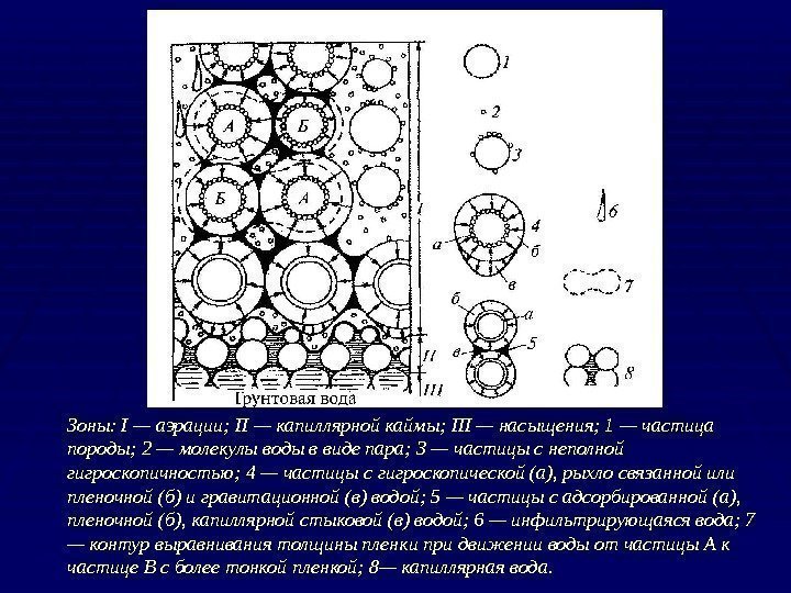 Зоны: I—аэрации; II—капиллярнойкаймы; III—насыщения; 1—частица породы; 2—молекулыводыввидепара; 3—частицыснеполной гигроскопичностью; 4—частицысгигроскопической(а), рыхлосвязаннойили пленочной(б)игравитационной(в)водой; 5—частицысадсорбированной(а), пленочной(б),