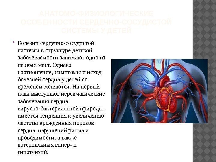 АНАТОМО-ФИЗИОЛОГИЧЕСКИЕ ОСОБЕННОСТИ СЕРДЕЧНО-СОСУДИСТОЙ СИСТЕМЫ У ДЕТЕЙ Болезни сердечно-сосудистой системы в структуре детской заболеваемости занимают