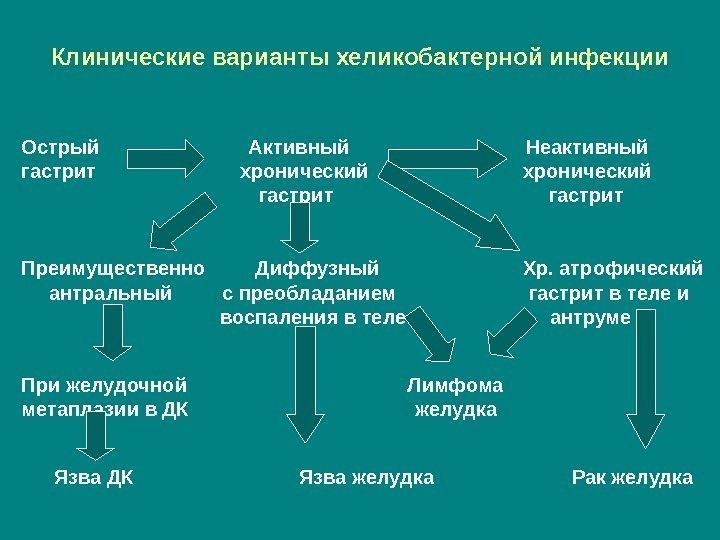 Клинические варианты хеликобактерной инфекции Острый      Активный   