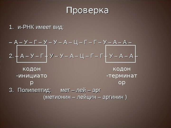 Проверка 1. 1. и-РНК имеет вид: – – А – У – Г –