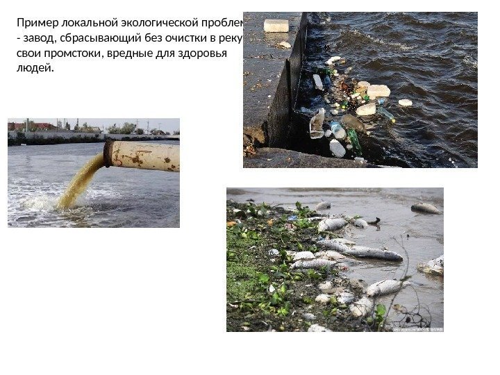 Пример локальной экологической проблемы - завод, сбрасывающий без очистки в реку свои промстоки, вредные