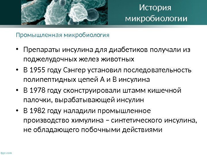 Промышленная микробиология • Препараты инсулина для диабетиков получали из поджелудочных желез животных • В