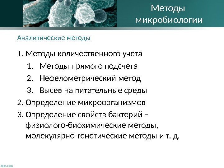 Аналитические методы 1. Методы количественного учета 1. Методы прямого подсчета 2. Нефелометрический метод 3.