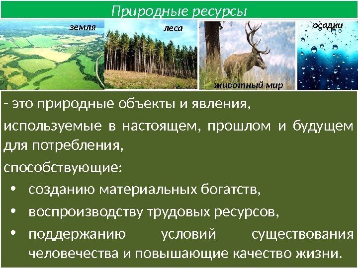 - это природные объекты и явления,  используемые в настоящем,  прошлом и будущем