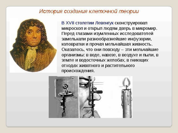 В XVII столетии Левенгук сконструировал микроскоп и открыл людям дверь в микромир.  Перед