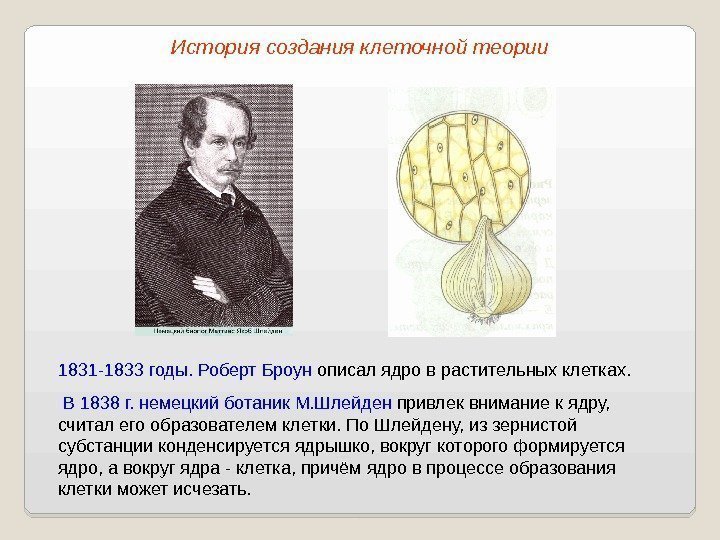 1831 -1833 годы. Роберт Броун описал ядро в растительных клетках.  В 1838 г.