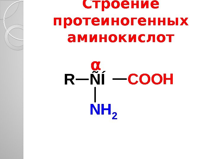 Строение протеиногенных аминокислотÑÍCOOHR NH 2 , α  