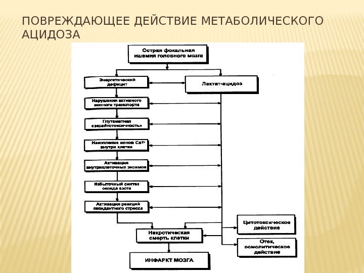 ПОВРЕЖДАЮЩЕЕ ДЕЙСТВИЕ МЕТАБОЛИЧЕСКОГО АЦИДОЗА 