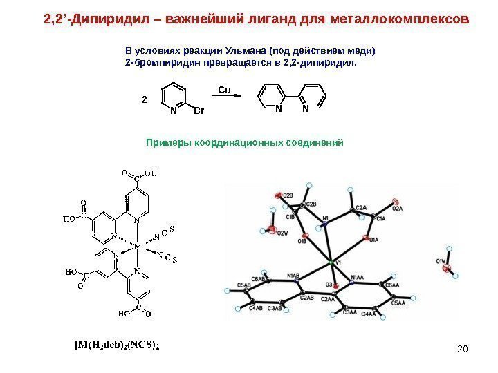 20 В условиях реакции Ульмана (под действием меди) 2 -бромпиридин превращается в 2, 2
