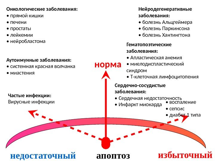 недостаточный апоптоз избыточный. Онкологические заболевания:  •  прямой кишки •  печени •