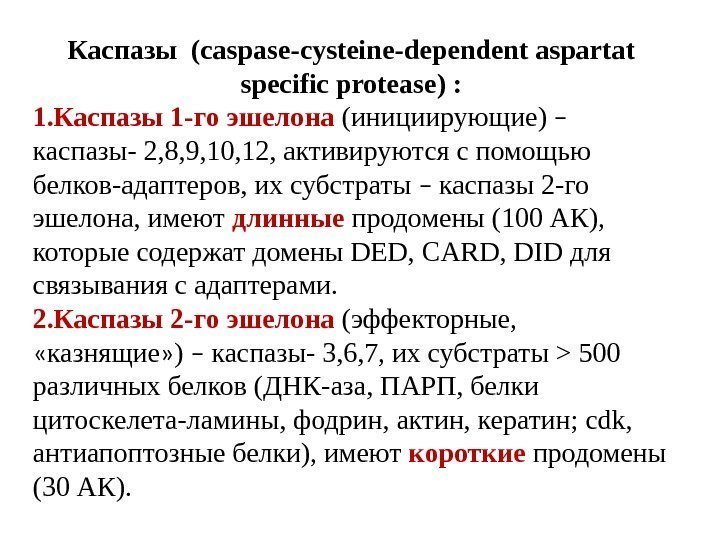 Каспазы (caspase-cysteine-dependent aspartat specific protease) : 1. Каспазы 1 -го эшелона (инициирующие) – 