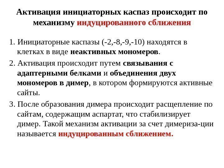 Активация инициаторных каспаз происходит по механизму индуцированного сближения 1. Инициаторные каспазы (-2, -8, -9,