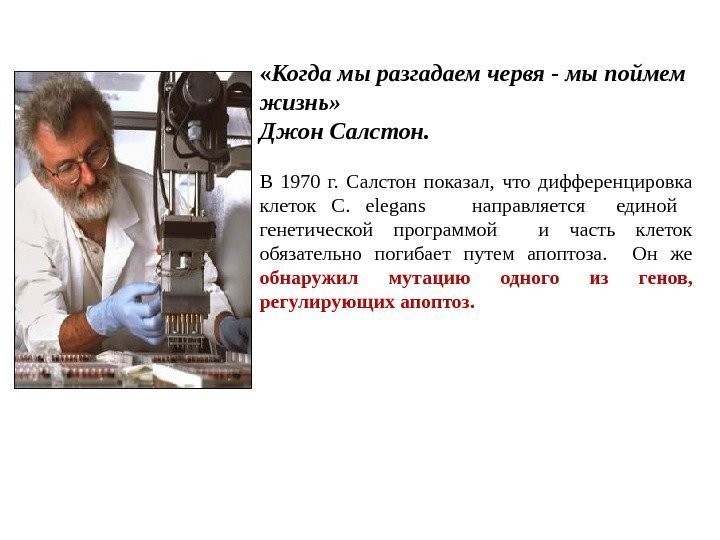  « Когда мы разгадаем червя - мы поймем жизнь» Джон Салстон. В 1970