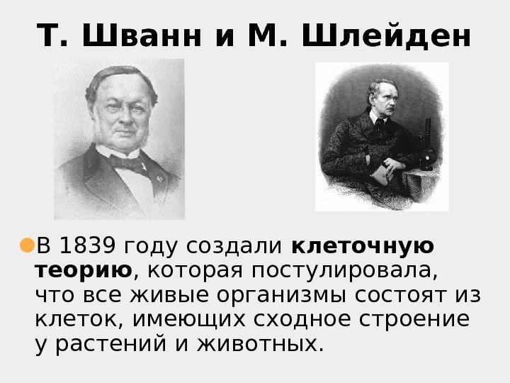 Т. Шванн и М. Шлейден ● В 1839 году создали клеточную теорию , которая