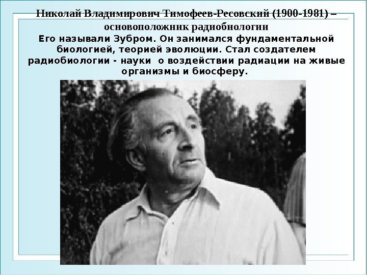 Николай Владимирович Тимофеев-Ресовский (1900 -1981) – основоположник радиобиологии Его называли Зубром. Он занимался фундаментальной
