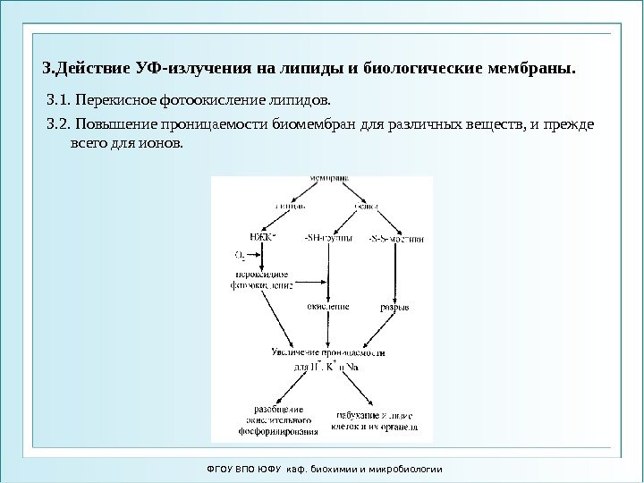 3. Действие УФ-излучения на липиды и биологические мембраны.  3. 1. Перекисное фотоокисление липидов.