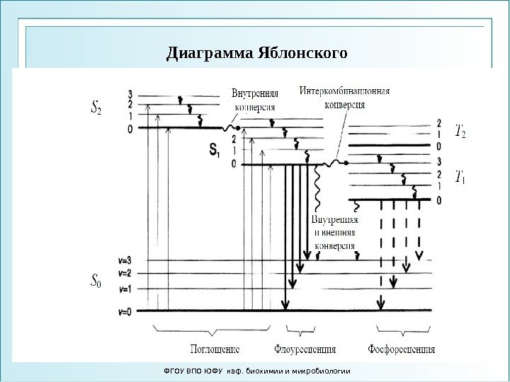 Диаграмма Яблонского ФГОУ ВПО ЮФУ каф. биохимии и микробиологии 