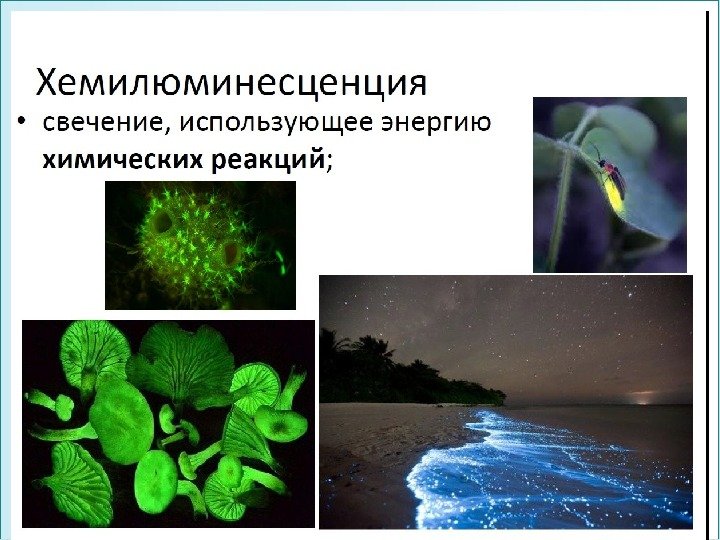 ФГОУ ВПО ЮФУ каф. биохимии и микробиологии 38 