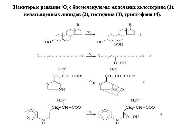 Некоторые реакции 1 О 2 с биомолекулами: окисление холестерина (1),  ненасыщенных липидов (2),