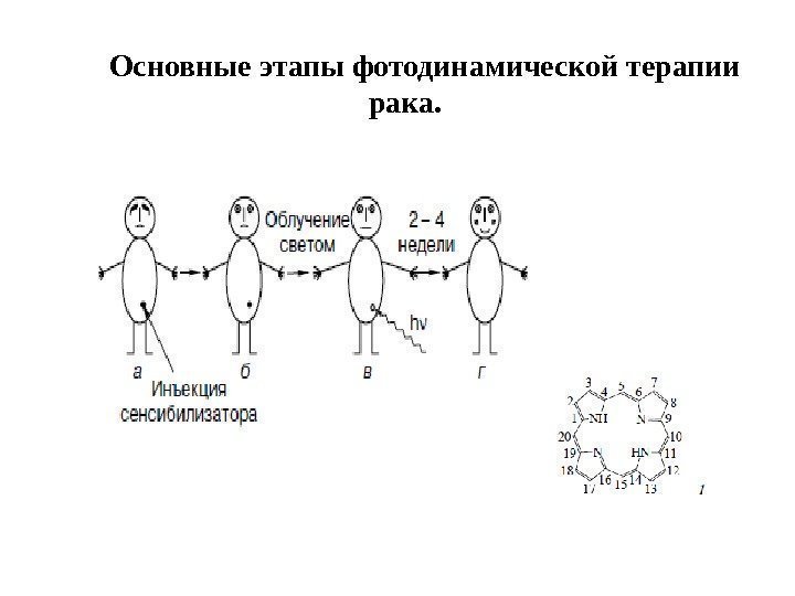 Основные этапы фотодинамической терапии рака. 