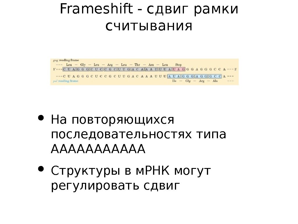 Frameshift - сдвиг рамки считывания • На повторяющихся последовательностях типа AAAAAA • Структуры в