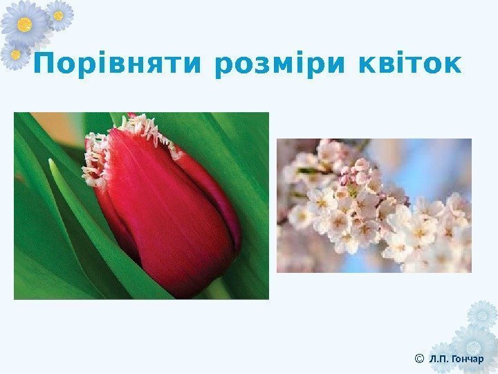 Порівняти розміри квіток Л. П. Гончар © 
