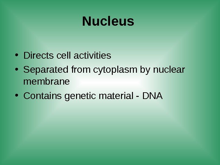 Nucleus  • Directs cell activities • Separated from cytoplasm by nuclear membrane •