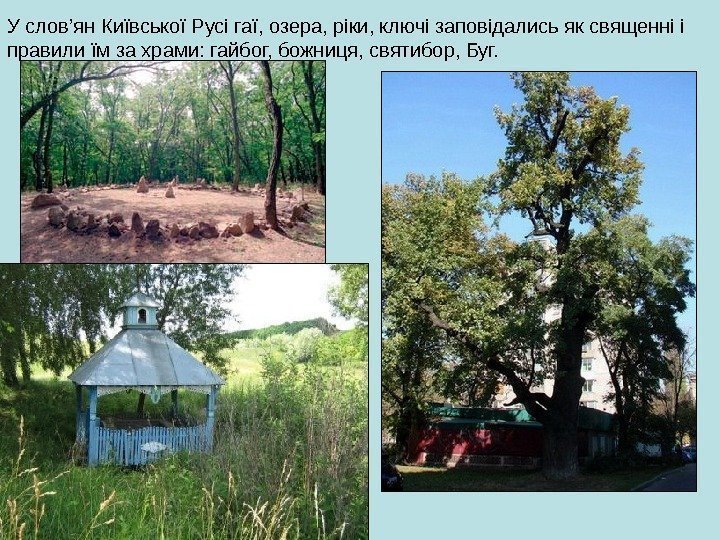 У слов’ян Київської Русі гаї, озера, ріки, ключі заповідались як священні і правили їм