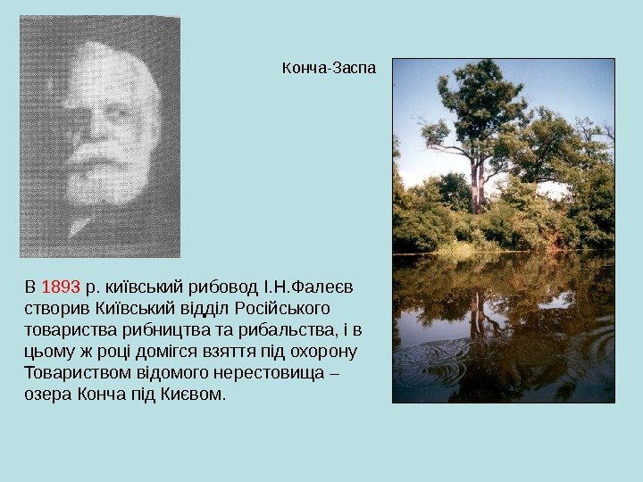 Конча-Заспа В 1893 р. київський рибовод І. Н. Фалеєв створив Київський відділ Російського товариства