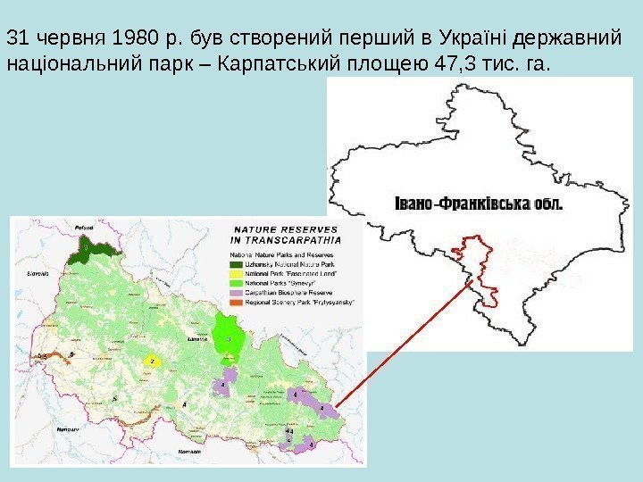 31 червня 1980 р. був створений перший в Україні державний національний парк – Карпатський