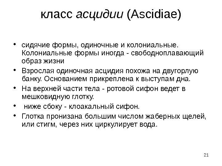 21 класс асцидии (Ascidiae) • сидячие формы, одиночные и колониальные.  Колониальные формы иногда